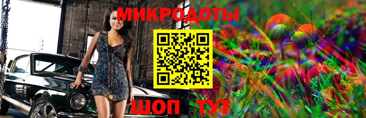 Галлюциногенные грибы Magic Shrooms Владивосток